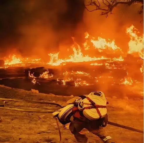 履帶式雙節(jié)森林草原(蘆葦)消防滅火全地形車(chē)