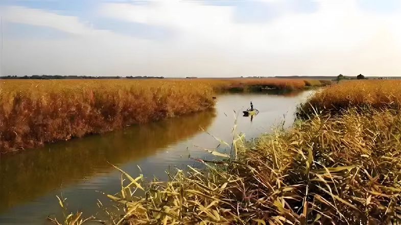 履帶式雙節(jié)森林草原(蘆葦)消防滅火全地形車(chē)